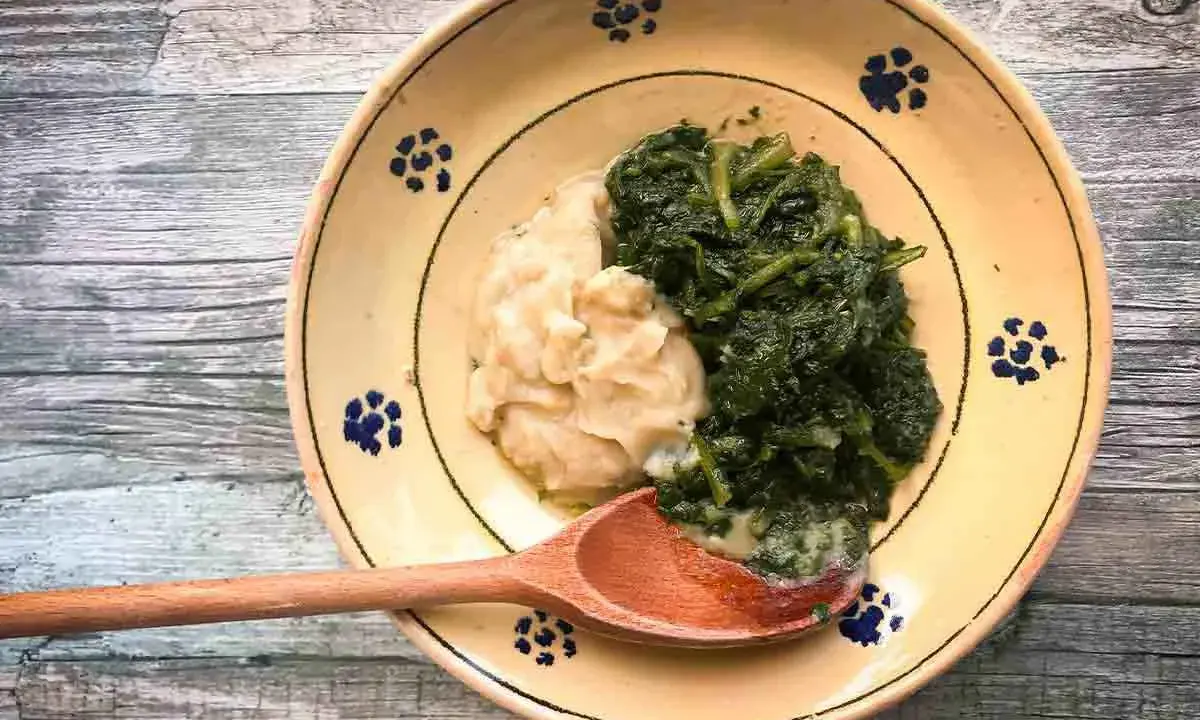 Piatto rustico con fave e cicoria, un classico della cucina italiana, servito su un piatto decorato con fiori blu.