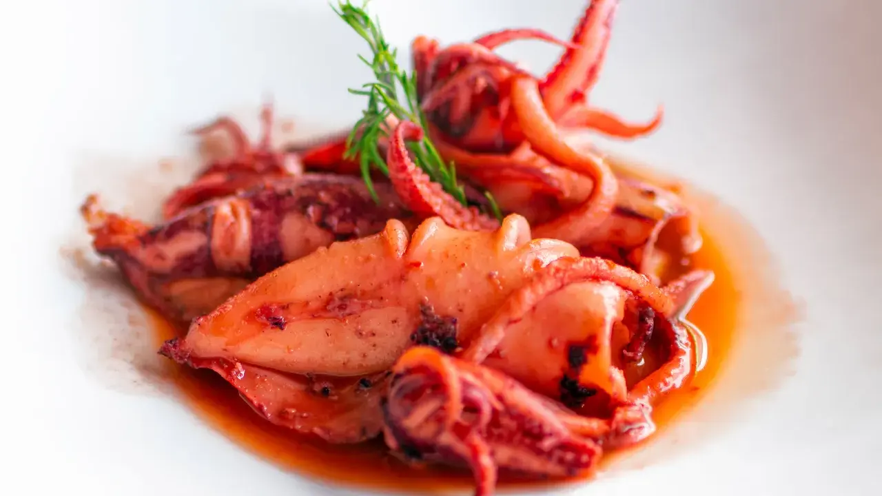 Totani in umido succulenti, cotti lentamente in un sugo saporito, guarniti con un rametto di finocchietto.