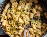 Rigatoni conditi con una cremosa salsa di zucchine, un piatto semplice e gustoso.
