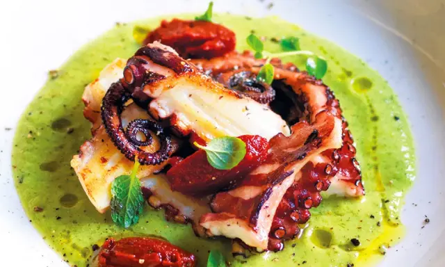 Delizioso polpo alla griglia servito su una crema verde brillante, guarnito con pomodori secchi e erbe fresche.